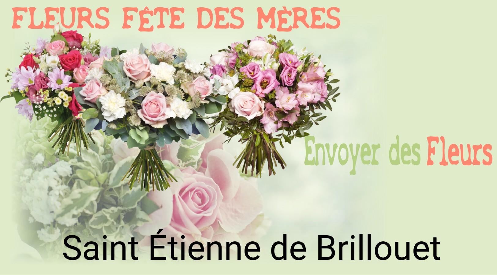 Bouquet de Fête des Mères livré à Saint-Étienne-de-Brillouet